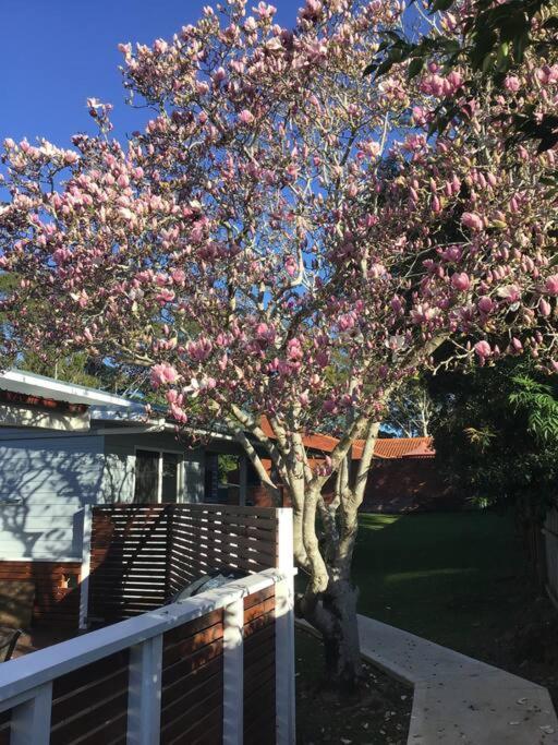 Magnolia Cottage Coffs Harbour Exterior photo